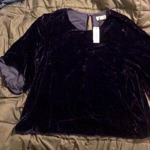 Velvet by Graham and Spencer Velvet Blouse